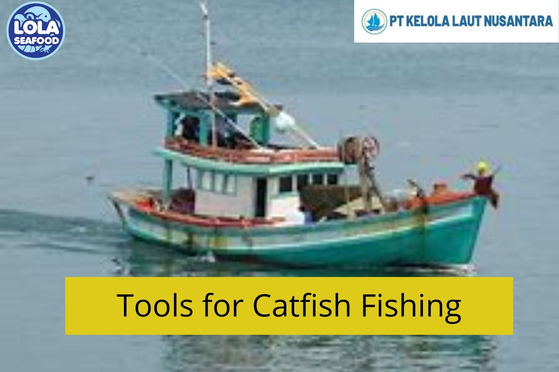 6 ways to Tools for Catfish Fishing